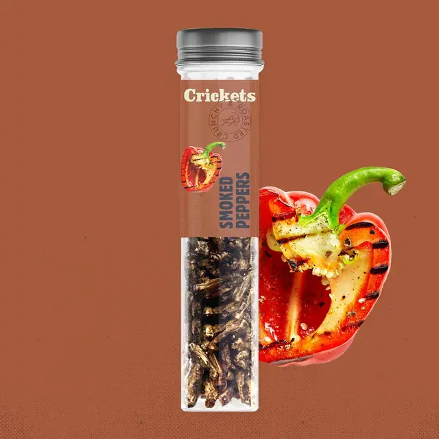 Sens Ganze Grillen Gegrillte Paprika Kracherpreis